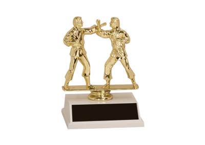 two karate figures gold trophy small